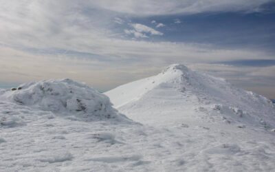 ANULADA: Tejea de Cabezas de Hierro (Madrid). Invernal