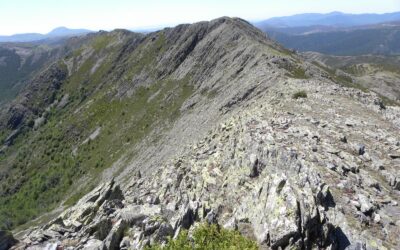 Cresta del Dragón (Guadalajara)
