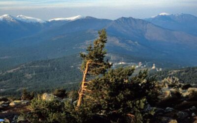 Las huellas de la guerra en las sierras de Madrid (IV): Valle de Enmedio – Cuelgamuros (Peguerinos)