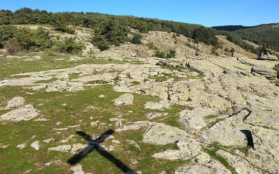 Pinar del Monte Abantos y Puerto de San Juan (El Escorial – Madrid)