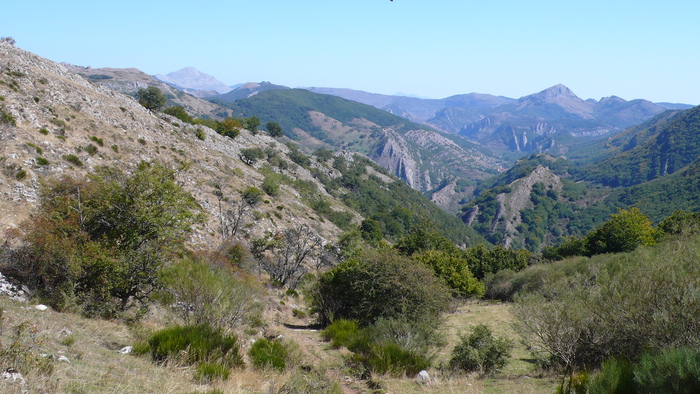 Cerro Pedroso