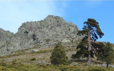 El Arenal – Sierra de Gredos (Ávila)