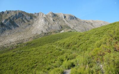 El Bierzo (León)