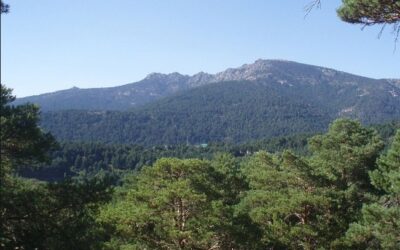 Siete Picos (Madrid)