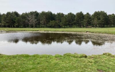 Lagunas de Peguerinos (Segovia)