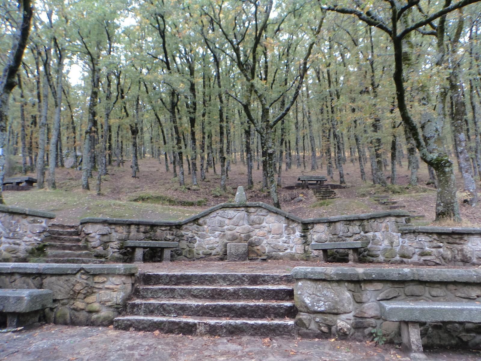 Fuente del Cura y Robledal de la Raya