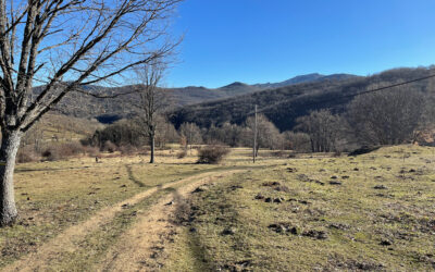 La Hiruela a El Cardoso de la Sierra por Puerto del Cardoso, Hayedo de Montejo y Senda del Río Jarama (Madrid)