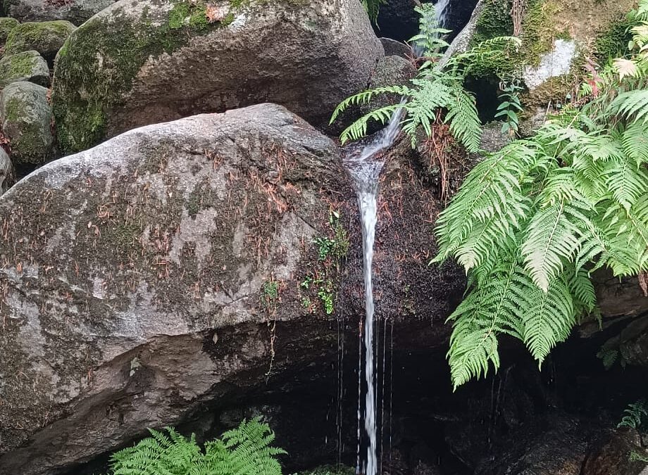 Ducha de los Alemanes por Fuente de los Acebos y Mirador de los Poetas (Madrid)
