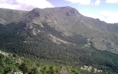 Valle de La Barranca, subiendo hasta La Bola del Mundo (Madrid)