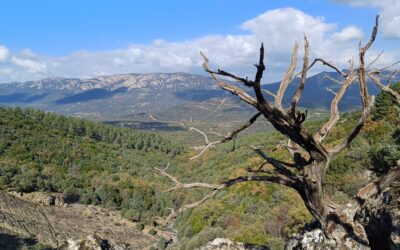 P. N. del Valle de Alcudia y Sierra Madrona (Ciudad Real)
