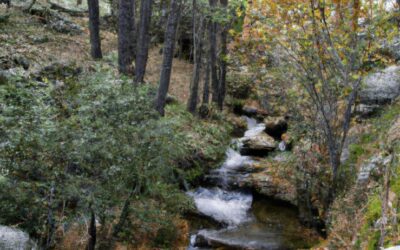 Ruta Camino Puriceli/Camino del Agua. Cercedilla (Madrid)