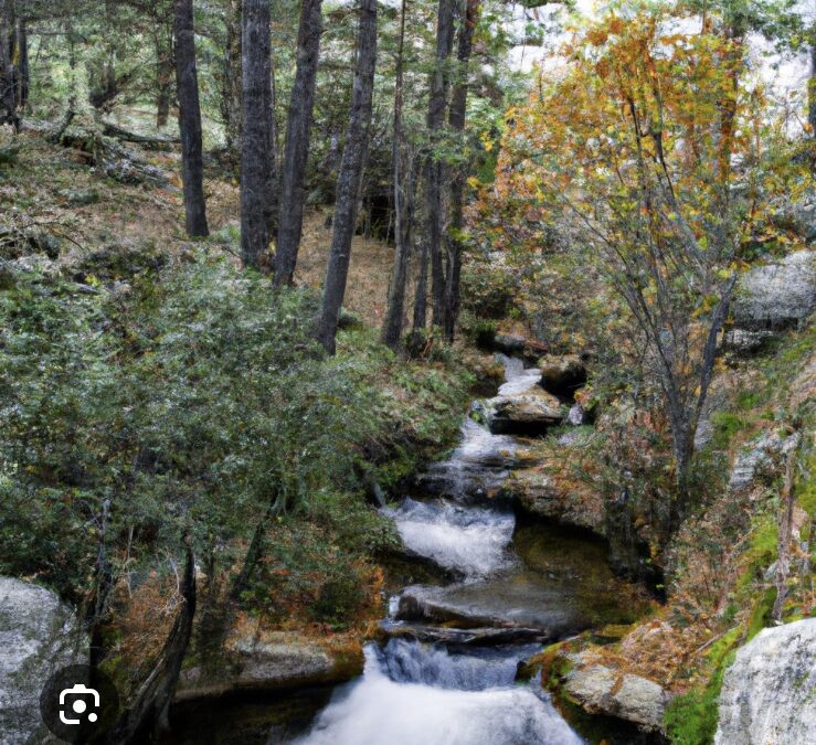 Ruta Camino Puriceli/Camino del Agua. Cercedilla (Madrid)